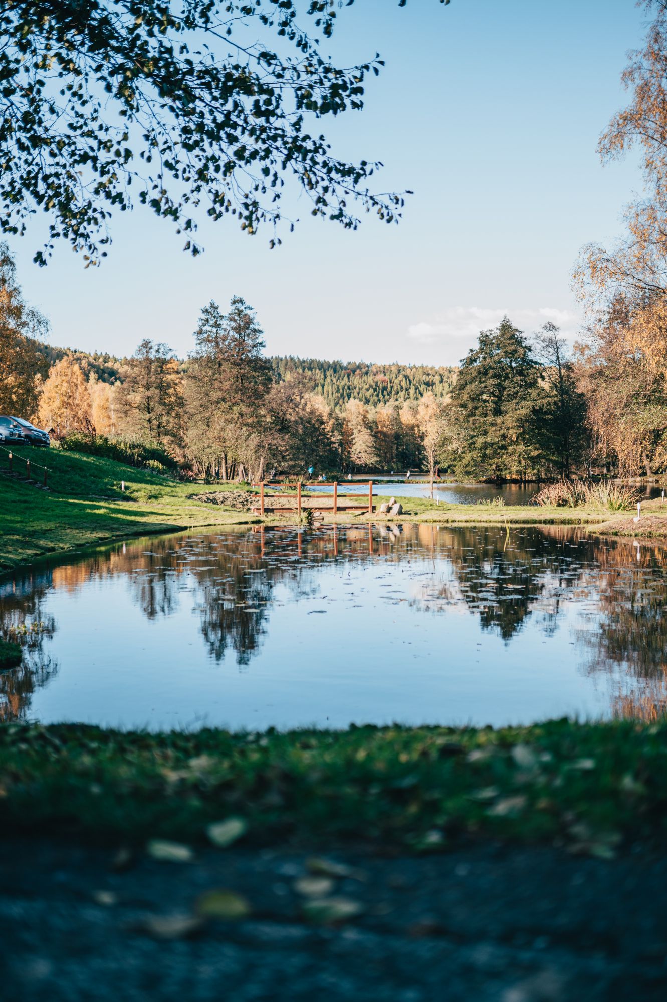 Stiller Teich in der Königsbrücker Heide im Herbst